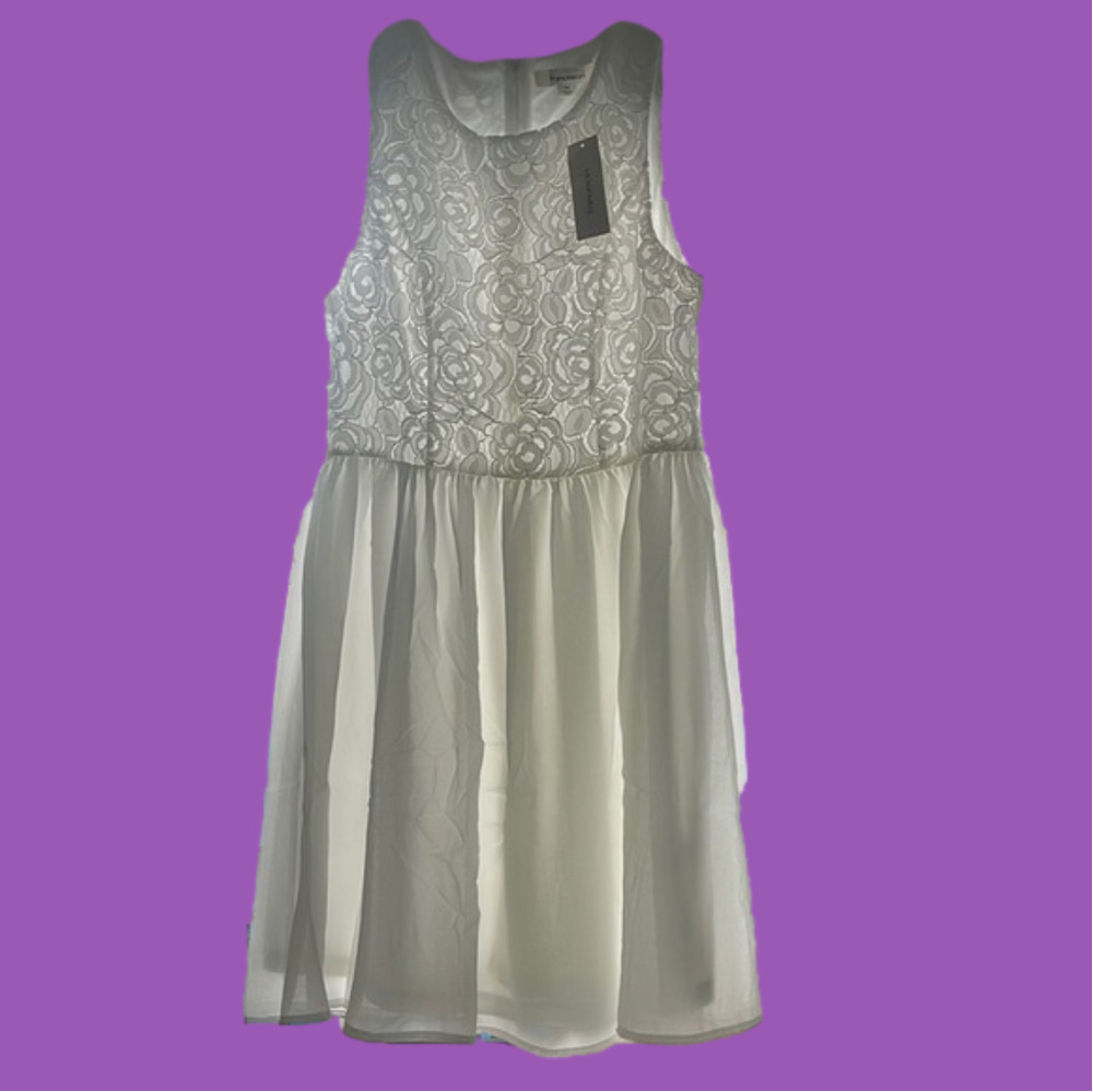 NWT Francesca’s dress